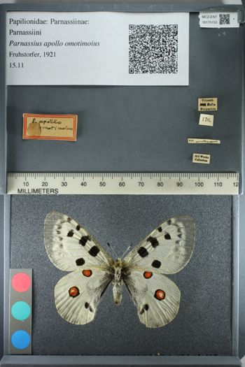 Media type: image;   Entomology 175153